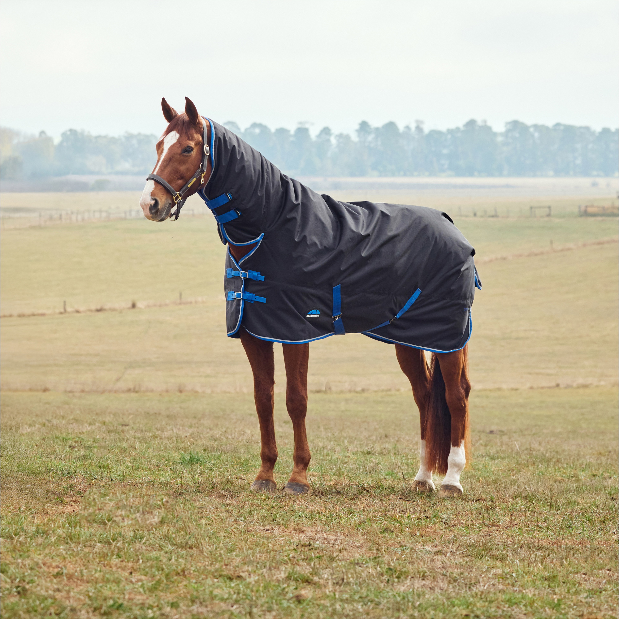 2025 Weatherbeeta Comfitec Tyro Turnout Combo Neck 220G 1029034 - Black